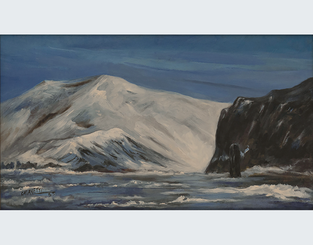 Entrada Isla Decepcion